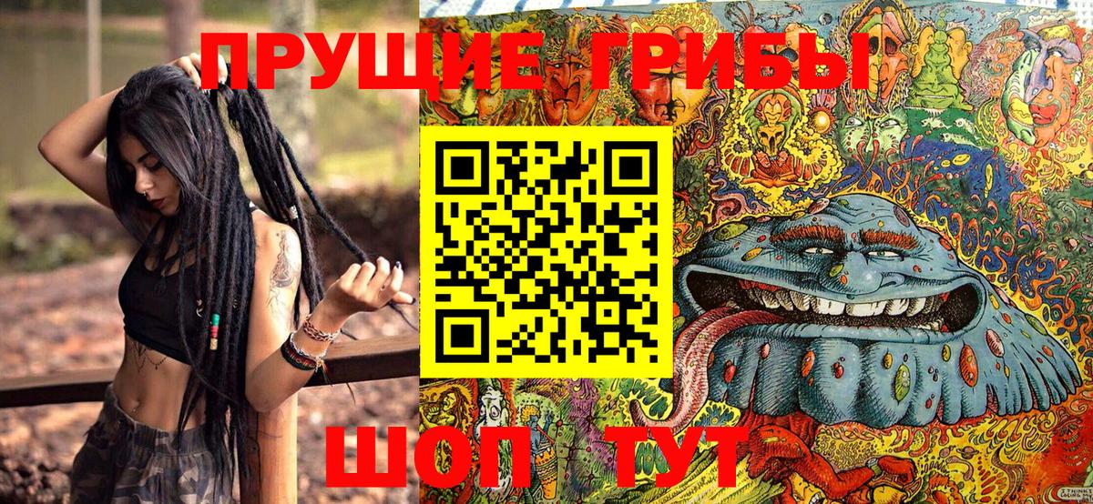 Псилоцибиновые грибы MAGIC MUSHROOMS Прохладный